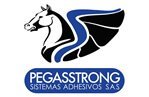 Pegasso_partner4